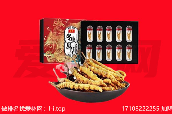 铁岭市西丰回收虫草.jpg